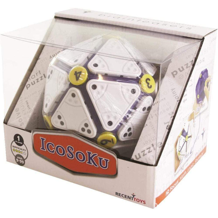 Icosoku Puzzle